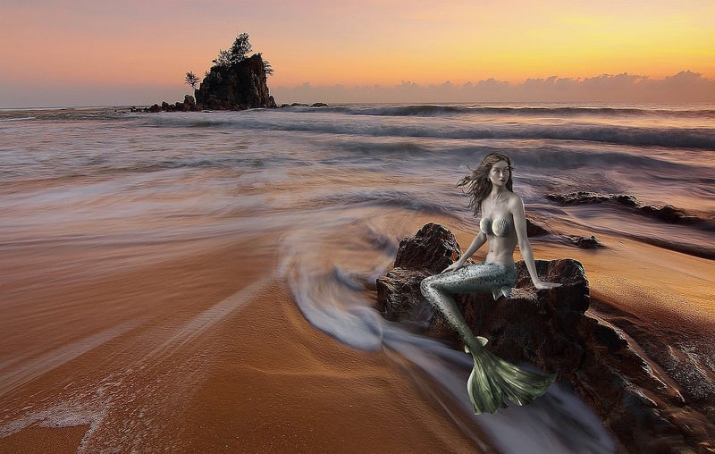 Mermaid Fantasy